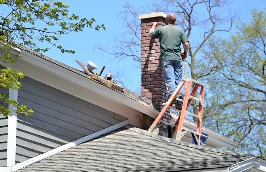 Chimney & Fireplace Inspections Services in Bellview, FL
